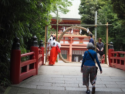 （高田宏臣寄稿）大宮氷川神社参道緑地における令和の環境再生への取り組みを開始