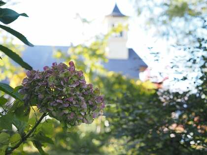 （会員寄稿）2025年10月30日、31日　新潟県妙高市にて環境改善ワークショップを行いました