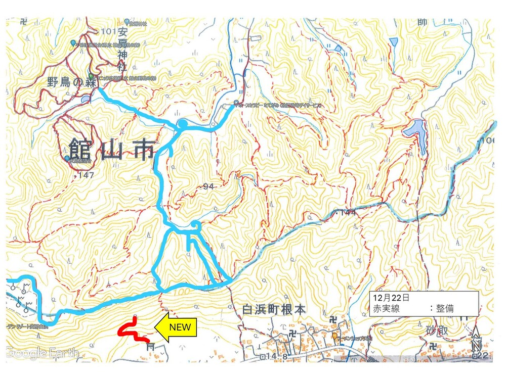 （会員寄稿）安房大神宮の森整備報告（2025年12月）