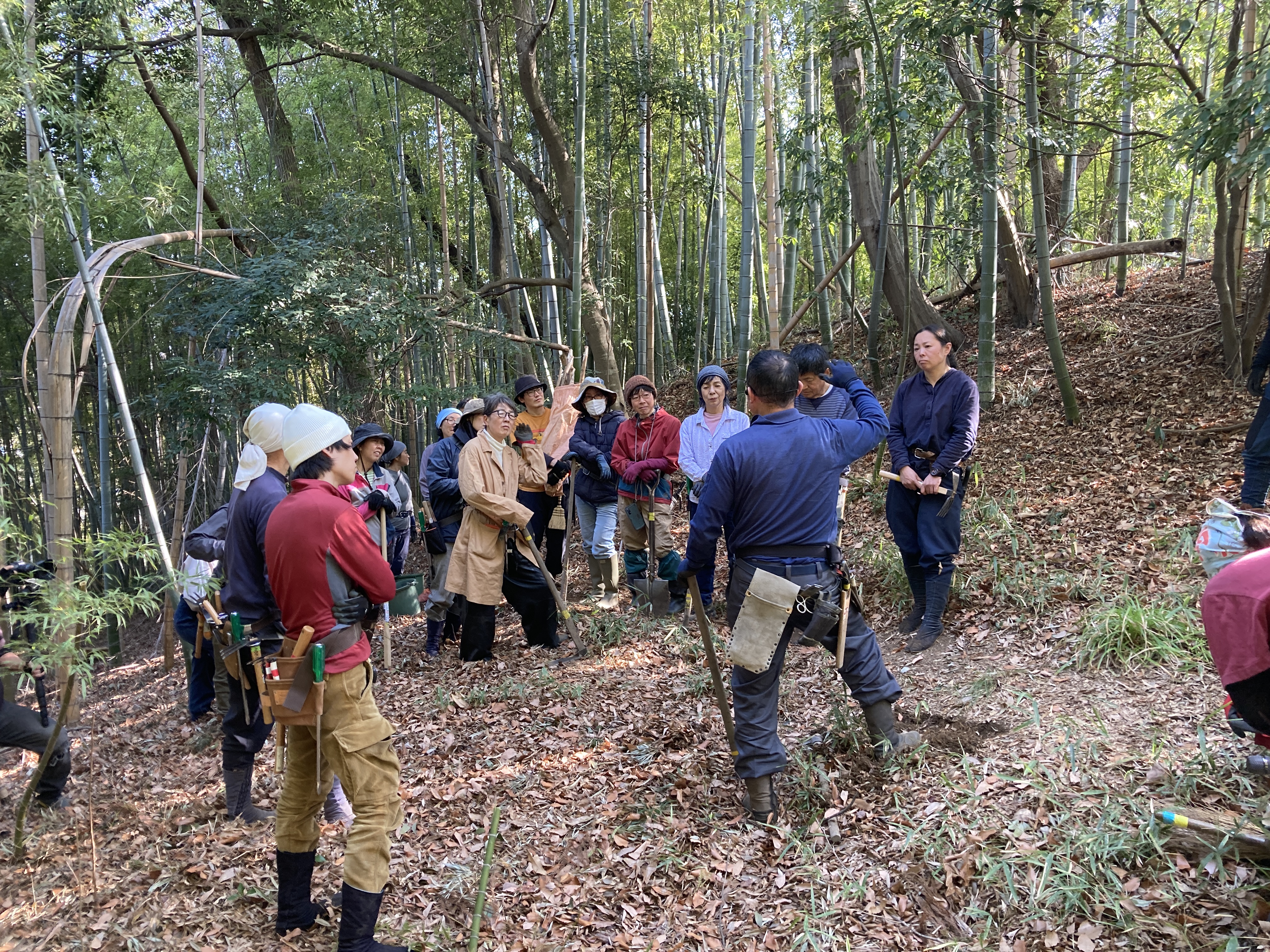 （会員寄稿）2026年2月15日　寺家町里山の環境改善ワークショップ最終回を行いました。