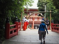 （高田宏臣寄稿）大宮氷川神社参道緑地における令和の環境再生への取り組みを開始